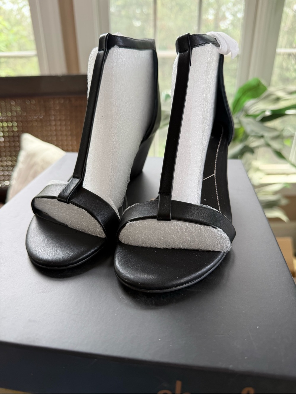 Charles By Charles David Black T-Strap Wedge Sandals